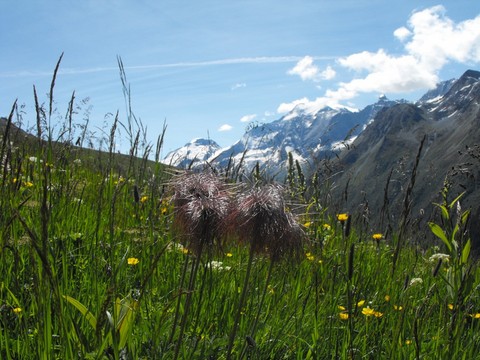 paysage de montagne champagny